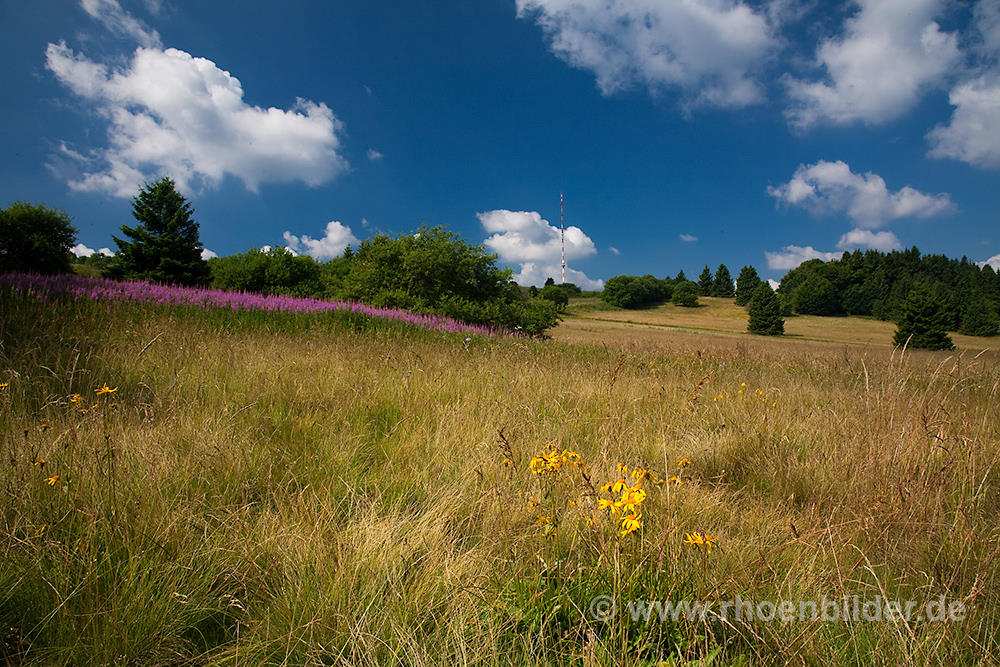 Sommer Lange Rhön